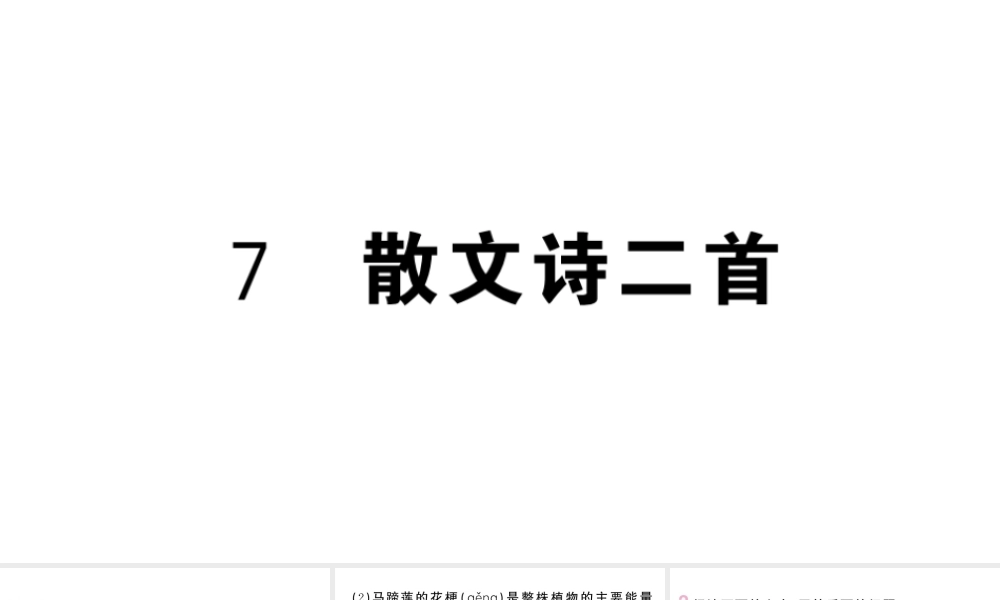 （河北专版）七年级语文上册 第二单元 7 散文诗二首课件 新人教版-新人教版初中七年级上册语文课件