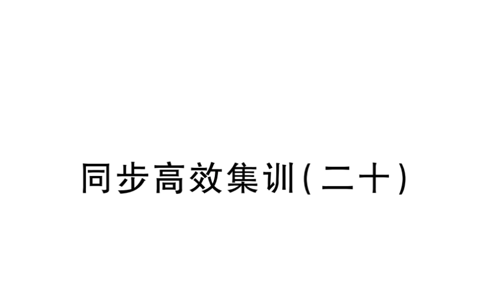（江西专用）中考地理 同步高效集训（二十）课件-人教版初中九年级全册地理课件