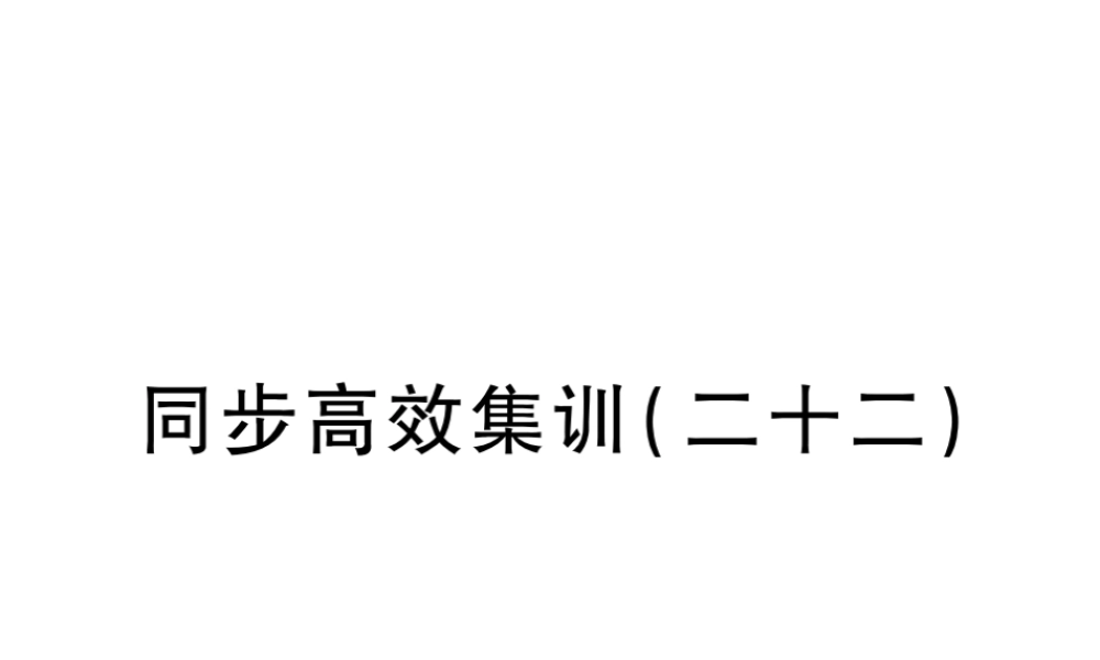 （江西专用）中考地理 同步高效集训（二十二）课件-人教版初中九年级全册地理课件