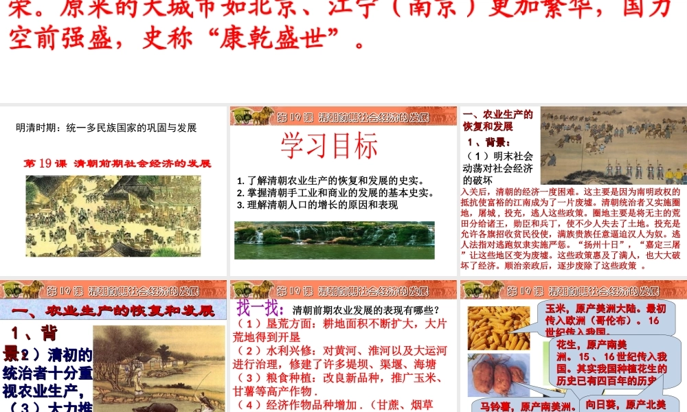 （水滴系列）（秋级历史下册 第19课 清朝前期社会经济的发展课件 新人教版
