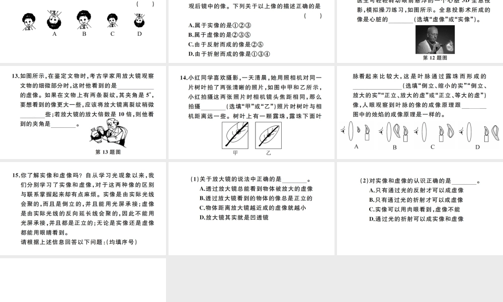 （江西专版）秋八年级物理上册 第五章 第2节 生活中的透镜习题课件 （新版）新人教版-（新版）新人教版初中八年级上册物理课件