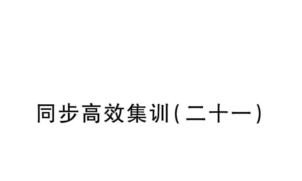 （江西专用）中考地理 同步高效集训（二十一）课件-人教版初中九年级全册地理课件