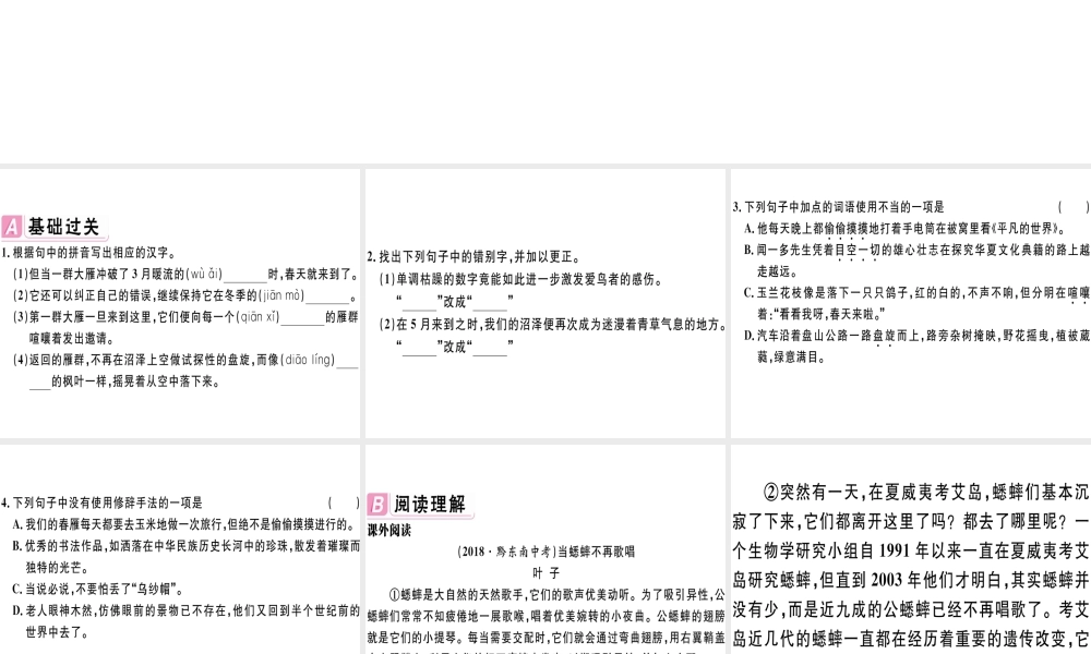（江西专版）春八年级语文下册 第二单元 7 大雁归来习题课件 新人教版-新人教版初中八年级下册语文课件