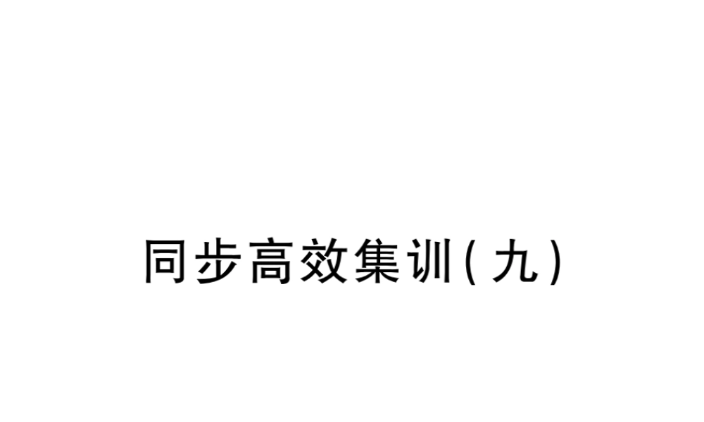 （江西专用）中考地理 同步高效集训（九）课件-人教版初中九年级全册地理课件
