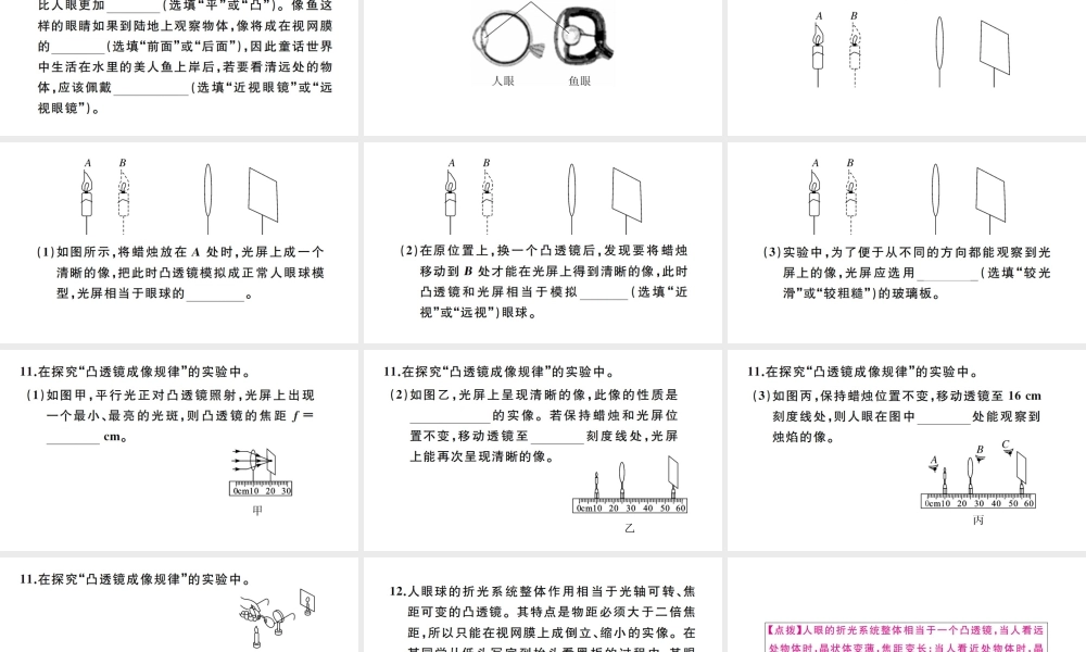 （江西专版）秋八年级物理上册 第五章 第4节 眼睛和眼镜习题课件 （新版）新人教版-（新版）新人教版初中八年级上册物理课件
