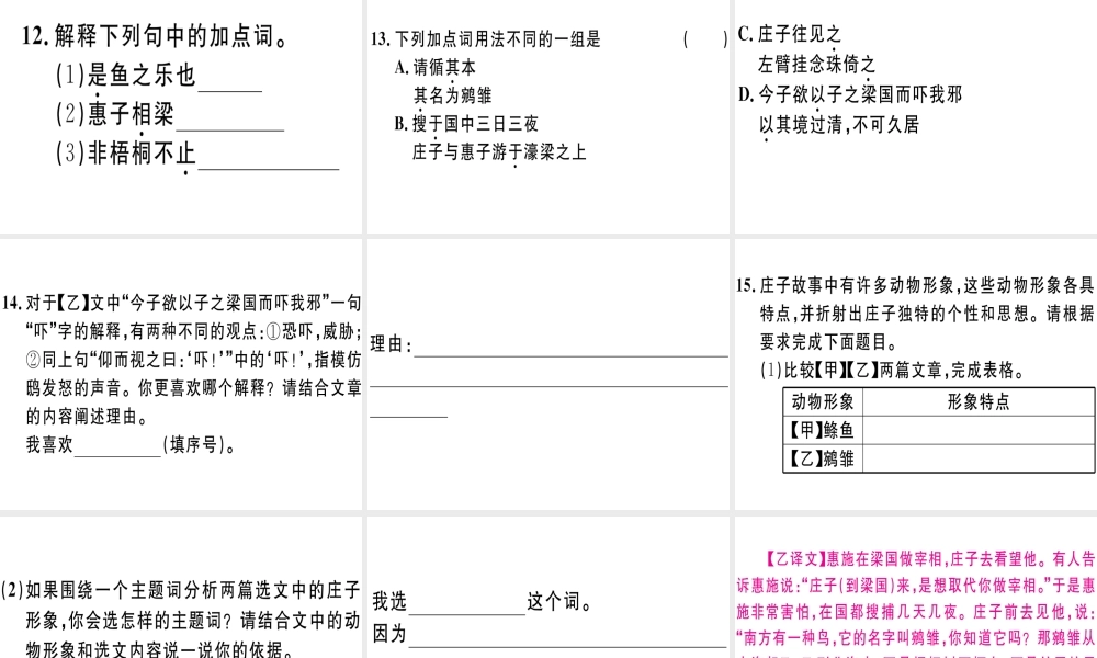 （江西专版）春八年级语文下册 第六单元 21《庄子》二则习题课件 新人教版-新人教版初中八年级下册语文课件