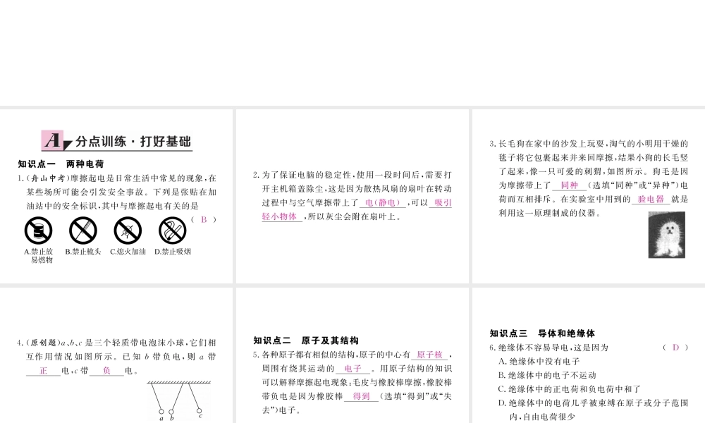 （江西专用）九年级物理全册 第15章 电流和电路 第1节 两种电荷同步练习课件 （新版）新人教版-（新版）新人教版初中九年级全册物理课件