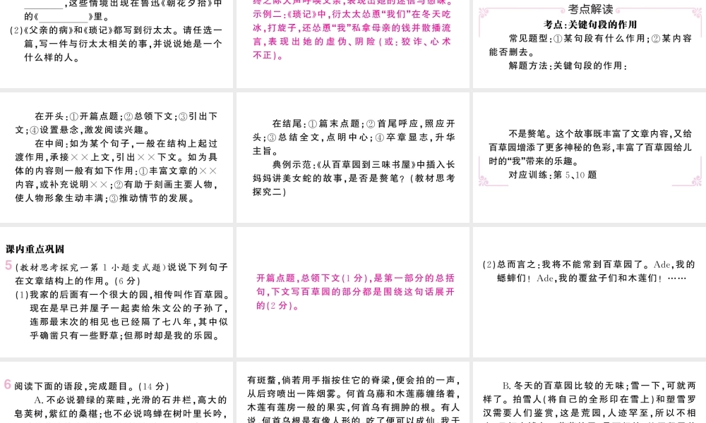 （河北专版）七年级语文上册 第三单元 9 从百草园到三味书屋课件 新人教版-新人教版初中七年级上册语文课件