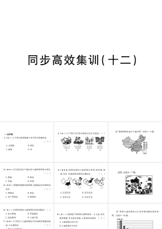 （江西专用）中考地理 同步高效集训（十二）课件-人教版初中九年级全册地理课件