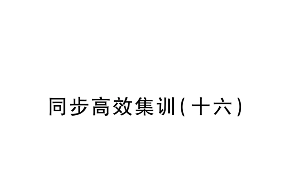 （江西专用）中考地理 同步高效集训（十六）课件-人教版初中九年级全册地理课件