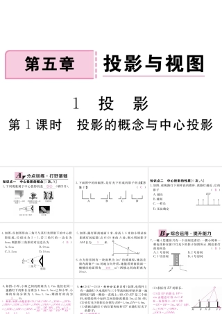 （江西专版）秋九年级数学上册 第五章 投影与视图 5.1 投影 第1课时 投影的概念与中心投影习题讲评课件 （新版）北师大版-（新版）北师大版初中九年级上册数学课件