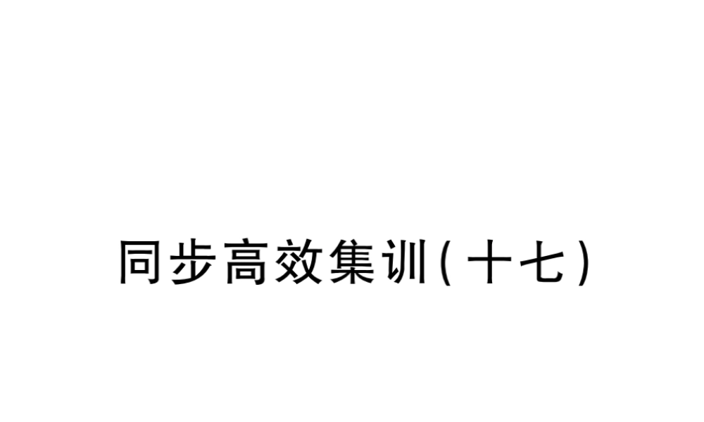 （江西专用）中考地理 同步高效集训（十七）课件-人教版初中九年级全册地理课件