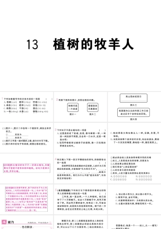 （河北专版）七年级语文上册 第四单元 13 植树的牧羊人课件 新人教版-新人教版初中七年级上册语文课件