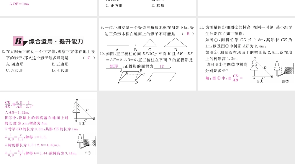 （江西专版）秋九年级数学上册 第五章 投影与视图 5.1 投影 第2课时 平行投影与正投影习题讲评课件 （新版）北师大版-（新版）北师大版初中九年级上册数学课件