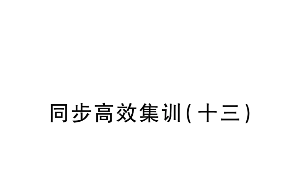 （江西专用）中考地理 同步高效集训（十三）课件-人教版初中九年级全册地理课件