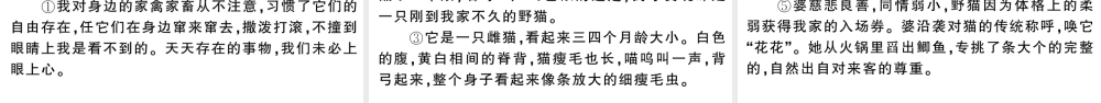（河北专版）七年级语文上册 第五单元 16 猫课件 新人教版-新人教版初中七年级上册语文课件