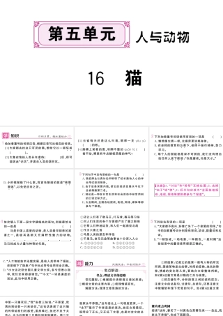 （河北专版）七年级语文上册 第五单元 16 猫课件 新人教版-新人教版初中七年级上册语文课件