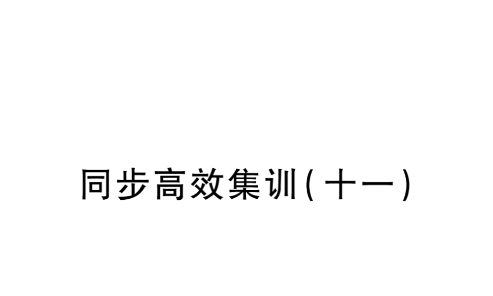 （江西专用）中考地理 同步高效集训（十一）课件-人教版初中九年级全册地理课件