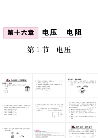 （江西专用）九年级物理全册 第16章 电压 电阻 第1节 电压同步练习课件 （新版）新人教版-（新版）新人教版初中九年级全册物理课件