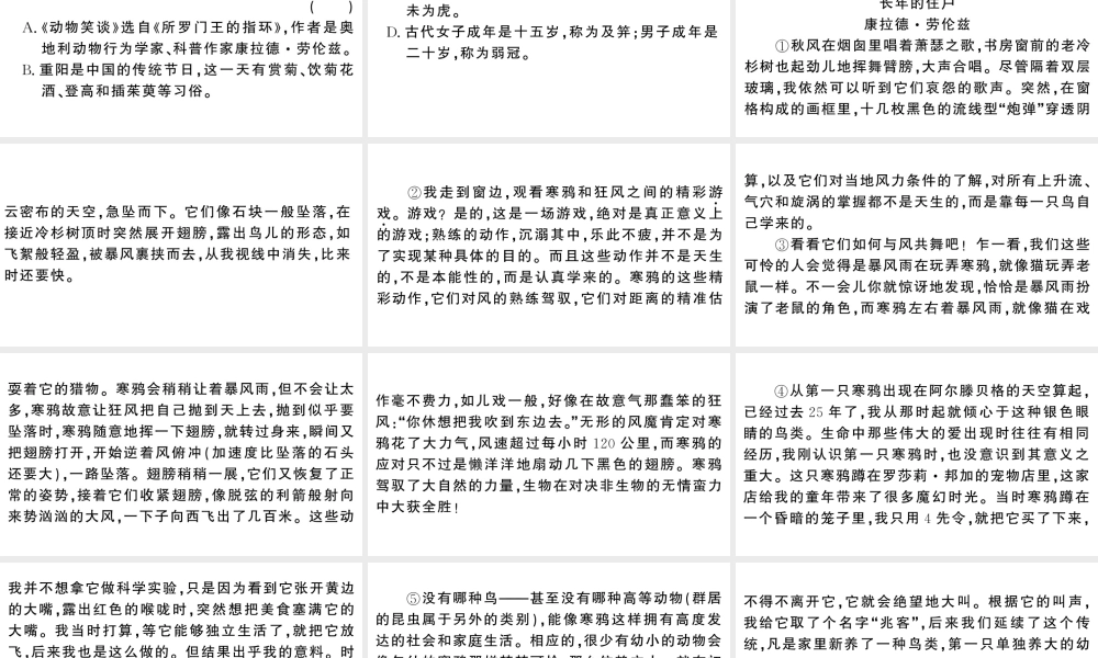（河北专版）七年级语文上册 第五单元 17 动物笑谈课件 新人教版-新人教版初中七年级上册语文课件