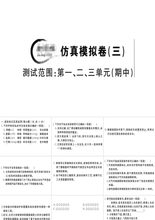（江西专版）春八年级语文下册 仿真模拟卷（三）课件 新人教版-新人教版初中八年级下册语文课件