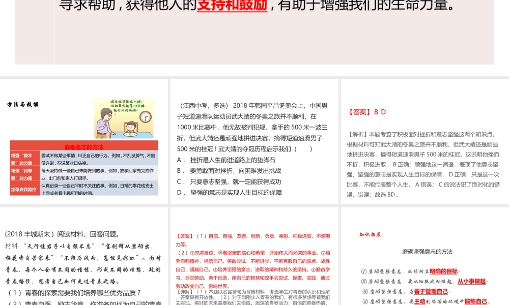 （江西专用）中考道德与法治总复习 考点2 磨砺意志、陶冶情操 课件-人教版初中九年级全册政治课件
