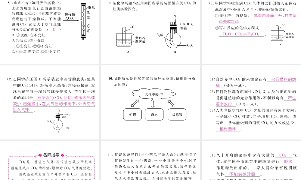 （江西专版）秋九年级化学上册 第6单元 碳和碳的化合物 6.3 二氧化碳和一氧化碳 第1课时 二氧化碳作业课件 （新版）新人教版-（新版）新人教版初中九年级上册化学课件