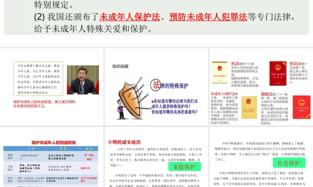 （江西专用）中考道德与法治总复习 考点17 未成年人保护课件-人教版初中九年级全册政治课件