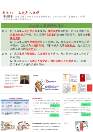 （江西专用）中考道德与法治总复习 考点17 未成年人保护课件-人教版初中九年级全册政治课件