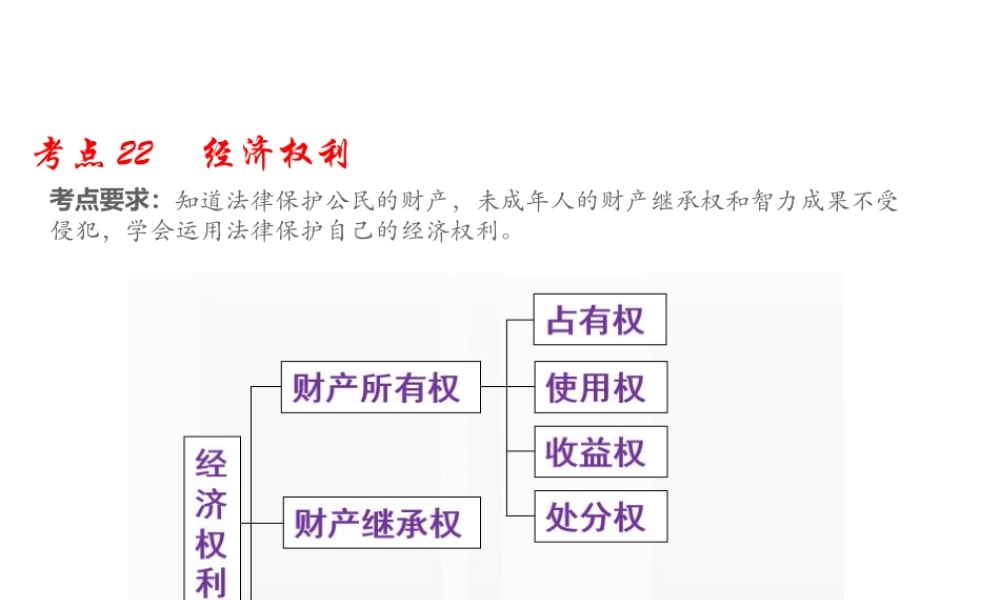 （江西专用）中考道德与法治总复习 考点22 经济权利课件-人教版初中九年级全册政治课件