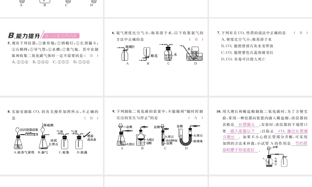 （江西专版）秋九年级化学上册 实验活动2 二氧化碳的实验室制取与性质作业课件 （新版）新人教版-（新版）新人教版初中九年级上册化学课件