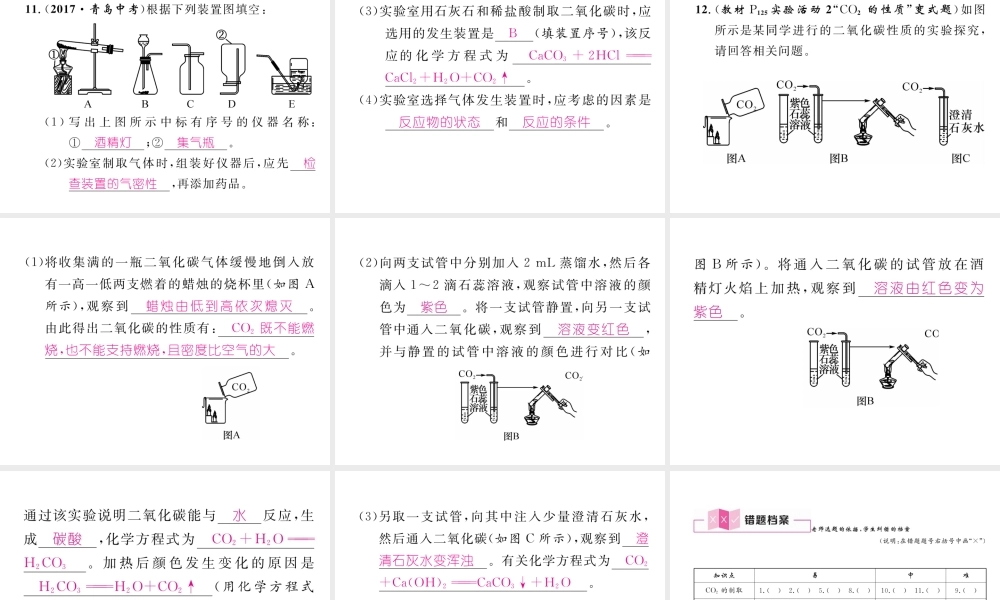 （江西专版）秋九年级化学上册 实验活动2 二氧化碳的实验室制取与性质作业课件 （新版）新人教版-（新版）新人教版初中九年级上册化学课件