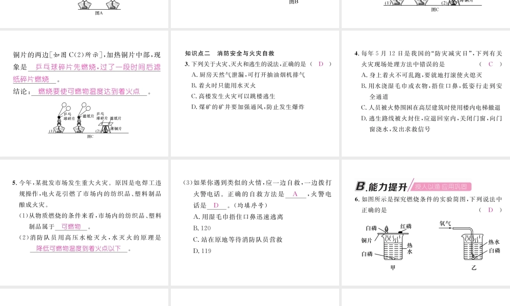 （江西专版）秋九年级化学上册 实验活动3 燃烧的条件作业课件 （新版）新人教版-（新版）新人教版初中九年级上册化学课件