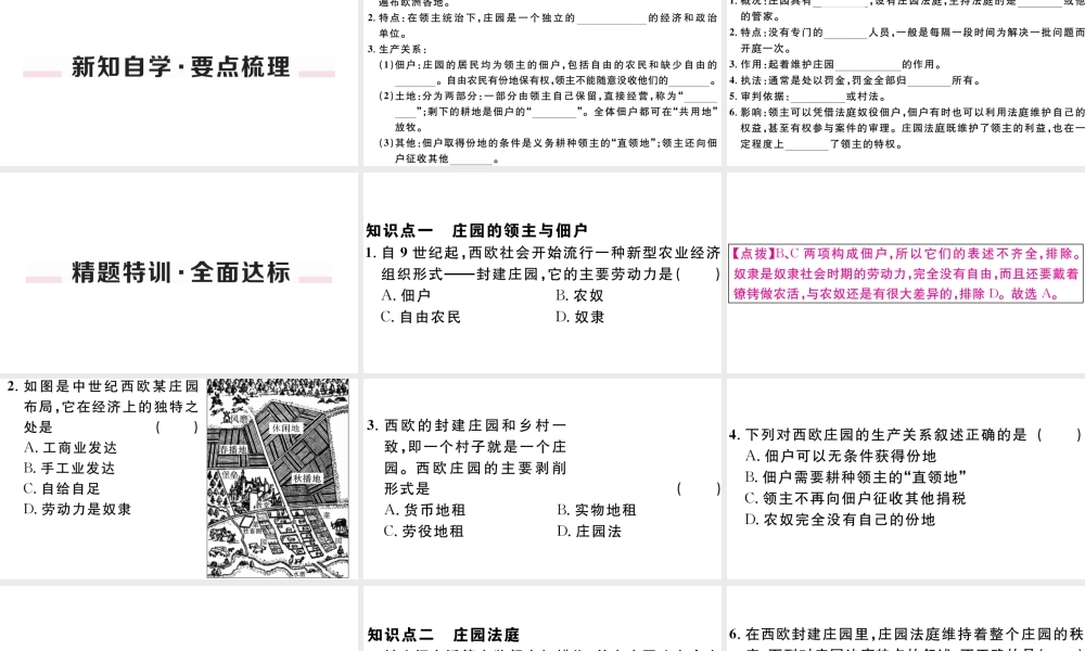 （江西专版）秋九年级历史上册 第三单元 封建时代的欧洲 第8课 西欧庄园习题课件 新人教版-新人教版初中九年级上册历史课件