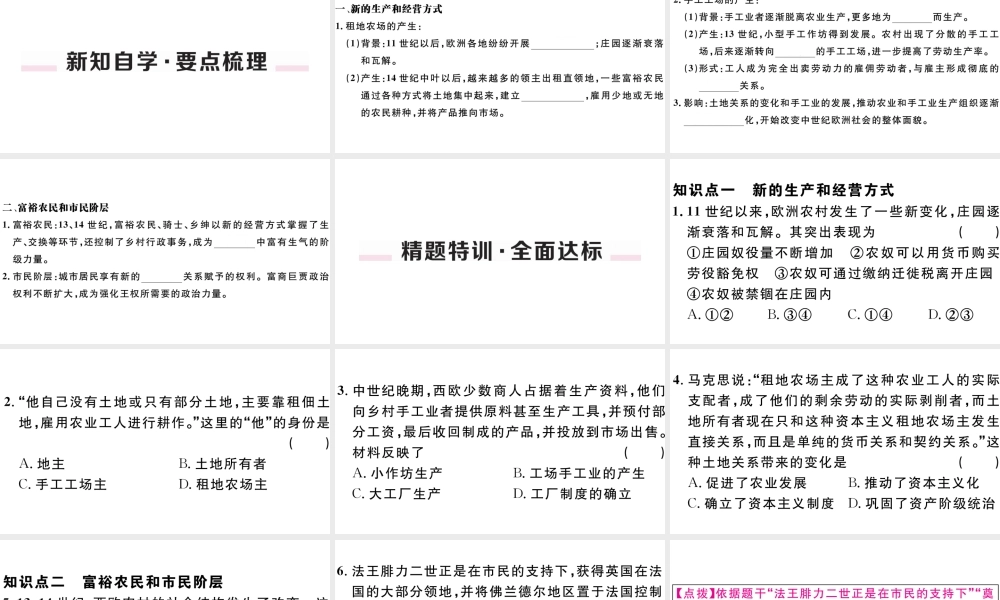 （江西专版）秋九年级历史上册 第五单元 走向近代 第13课 西欧经济和社会的发展习题课件 新人教版-新人教版初中九年级上册历史课件