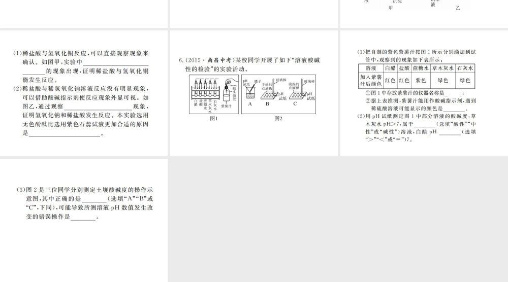 （江西专版）春九年级化学下册 第10单元 酸和碱 实验活动7 溶液酸碱性的检验课件 （新版）新人教版-（新版）新人教版初中九年级下册化学课件