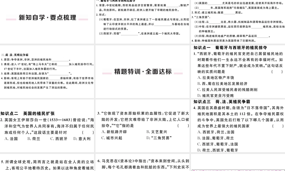 （江西专版）秋九年级历史上册 第五单元 走向近代 第16课 早期殖民掠夺习题课件 新人教版-新人教版初中九年级上册历史课件