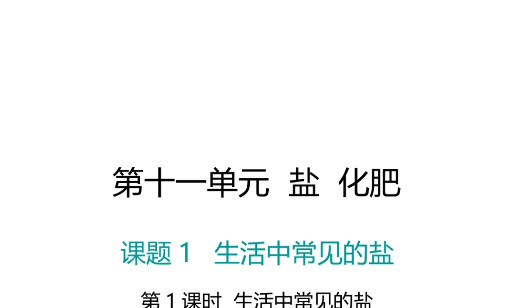 （江西专版）春九年级化学下册 第11单元 盐 化肥 课题1 生活中常见的盐 第1课时 生活中常见的盐课件 （新版）新人教版-（新版）新人教版初中九年级下册化学课件