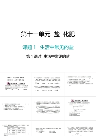 （江西专版）春九年级化学下册 第11单元 盐 化肥 课题1 生活中常见的盐 第1课时 生活中常见的盐课件 （新版）新人教版-（新版）新人教版初中九年级下册化学课件