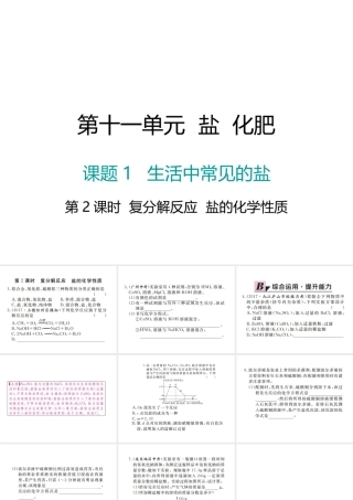 （江西专版）春九年级化学下册 第11单元 盐 化肥 课题1 生活中常见的盐 第2课时 复分解反应 盐的化学性质课件 （新版）新人教版-（新版）新人教版初中九年级下册化学课件