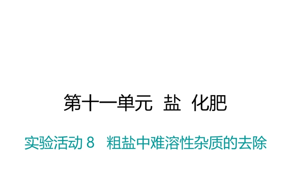 （江西专版）春九年级化学下册 第11单元 盐 化肥 实验活动8 粗盐中难溶性杂质的去除课件 （新版）新人教版-（新版）新人教版初中九年级下册化学课件