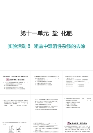 （江西专版）春九年级化学下册 第11单元 盐 化肥 实验活动8 粗盐中难溶性杂质的去除课件 （新版）新人教版-（新版）新人教版初中九年级下册化学课件