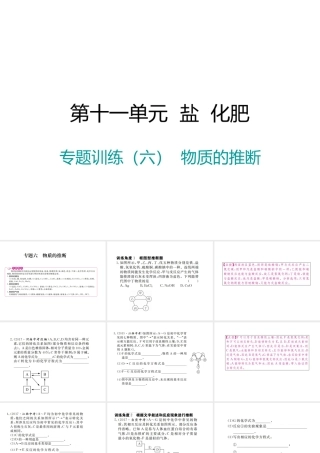 （江西专版）春九年级化学下册 第11单元 盐 化肥 专题训练（六）物质的推断课件 （新版）新人教版-（新版）新人教版初中九年级下册化学课件