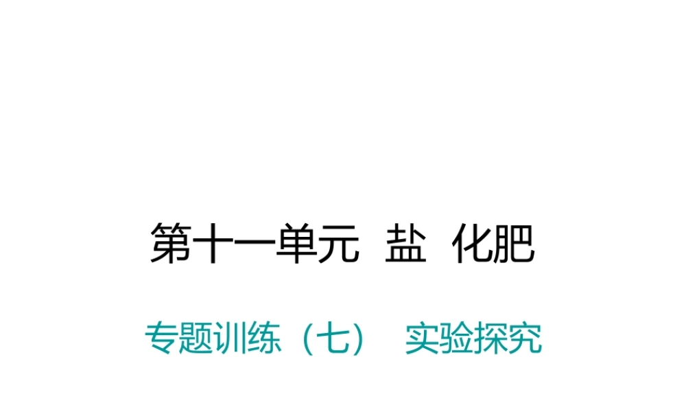 （江西专版）春九年级化学下册 第11单元 盐 化肥 专题训练（七）实验探究课件 （新版）新人教版-（新版）新人教版初中九年级下册化学课件