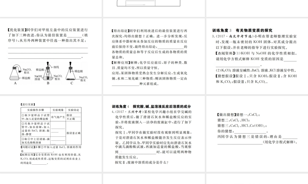 （江西专版）春九年级化学下册 第11单元 盐 化肥 专题训练（七）实验探究课件 （新版）新人教版-（新版）新人教版初中九年级下册化学课件