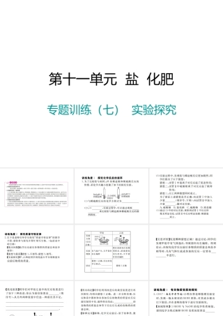 （江西专版）春九年级化学下册 第11单元 盐 化肥 专题训练（七）实验探究课件 （新版）新人教版-（新版）新人教版初中九年级下册化学课件