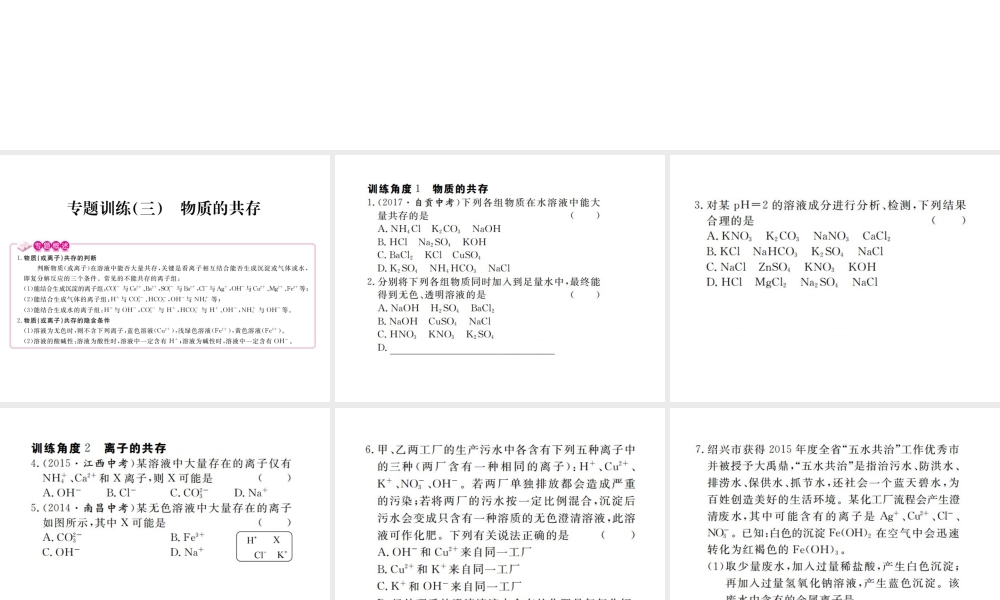 （江西专版）春九年级化学下册 第11单元 盐 化肥 专题训练（三）物质的共存课件 （新版）新人教版-（新版）新人教版初中九年级下册化学课件