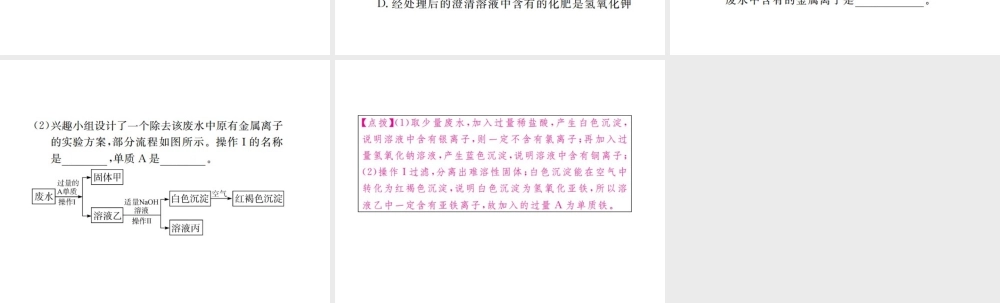 （江西专版）春九年级化学下册 第11单元 盐 化肥 专题训练（三）物质的共存课件 （新版）新人教版-（新版）新人教版初中九年级下册化学课件