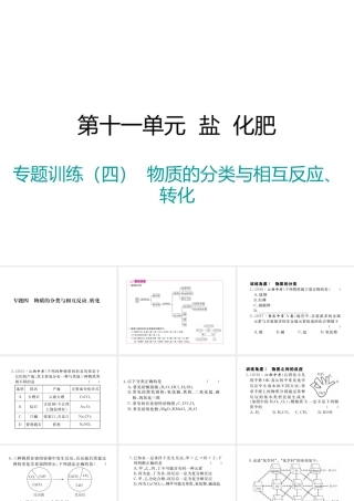 （江西专版）春九年级化学下册 第11单元 盐 化肥 专题训练（四）物质的分类与相互反应、转化课件 （新版）新人教版-（新版）新人教版初中九年级下册化学课件