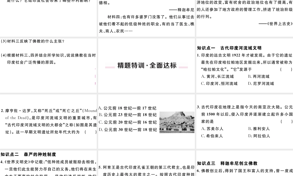 （江西专版）秋九年级历史上册 第一单元 古代亚非文明 第3课 古代印度习题课件 新人教版-新人教版初中九年级上册历史课件